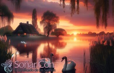 Los cisnes