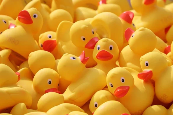 Qué significa soñar con patos