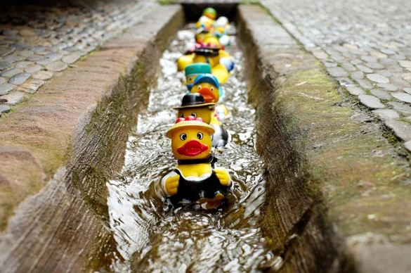 Qué significa soñar con patos