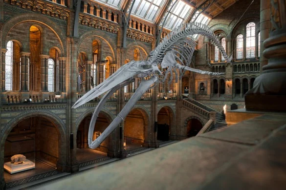 Qué significa soñar con un Museo