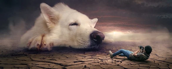 Qué significan los sueños con miedo Qué significan los sueños con miedo