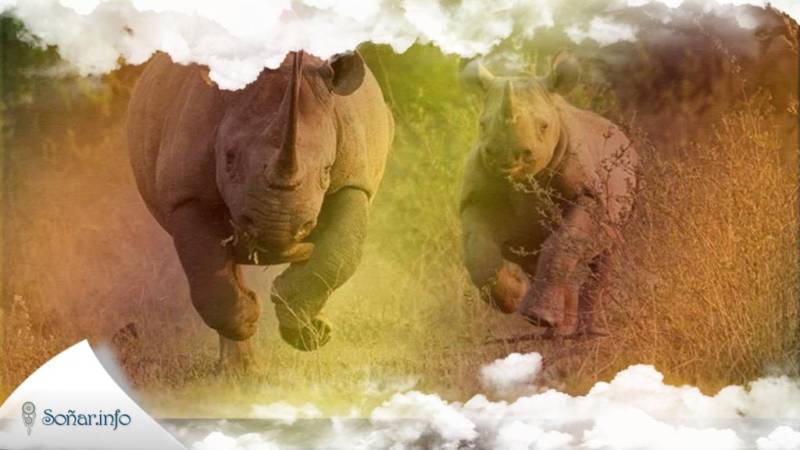 Significado de soñar con un Rinoceronte