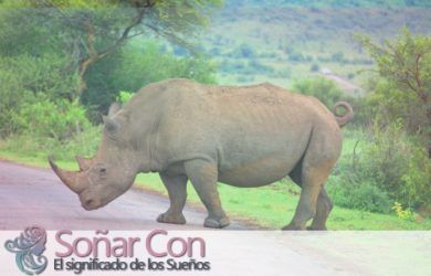 Tótem Animal Rinoceronte
