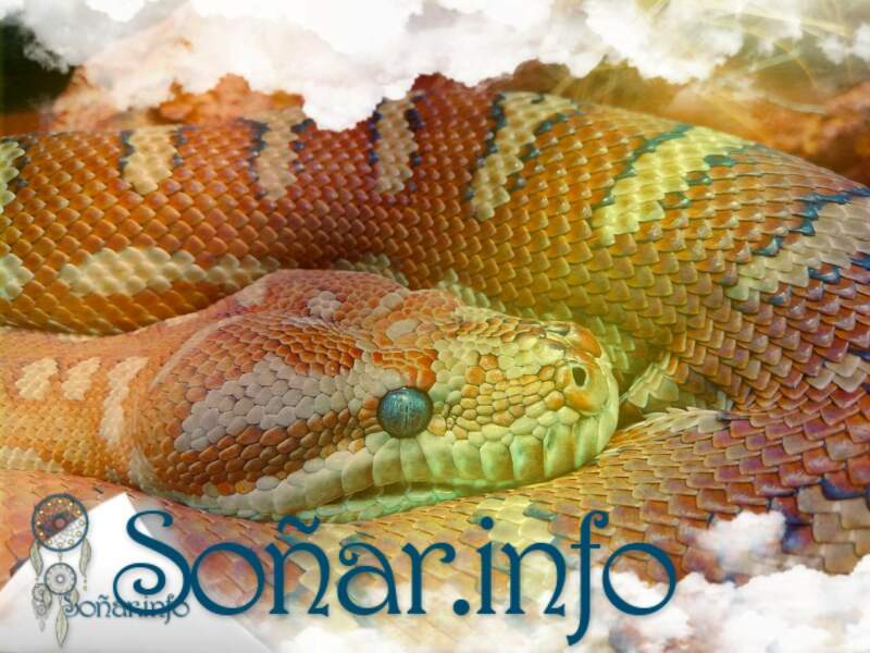 Los colores de la serpiente: un sueño colorido