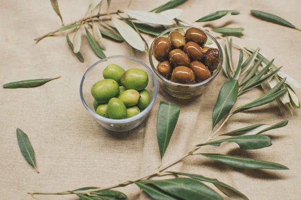 Significado de Soñar con aceitunas