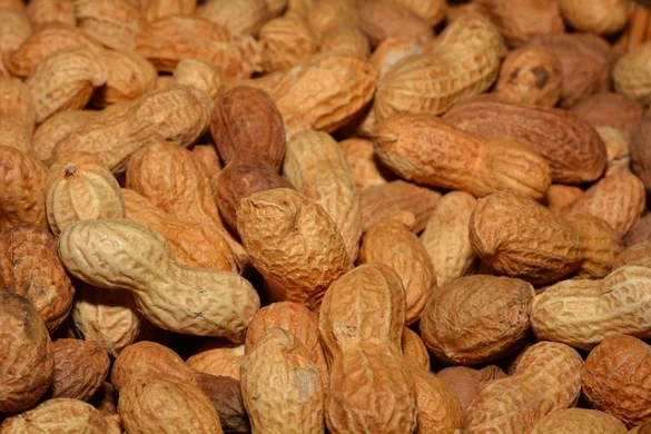 Significado de soñar con cacahuetes o Maní