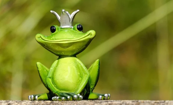 Significado de Soñar con ranas