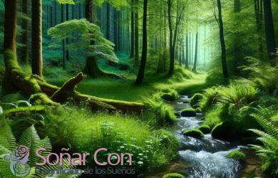 Significado de soñar con un Bosque y de acuerdo con su Qué significa soñar con Lugares