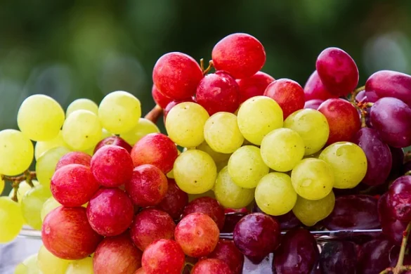 Significado de Soñar con uvas Significado de Soñar con uvas