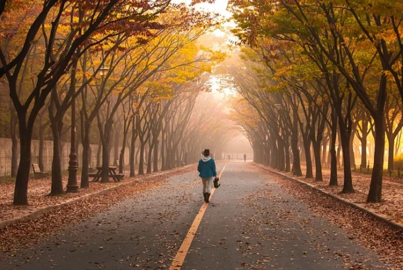 Soñar con caminar y su Significado Soñar con caminar y su Significado