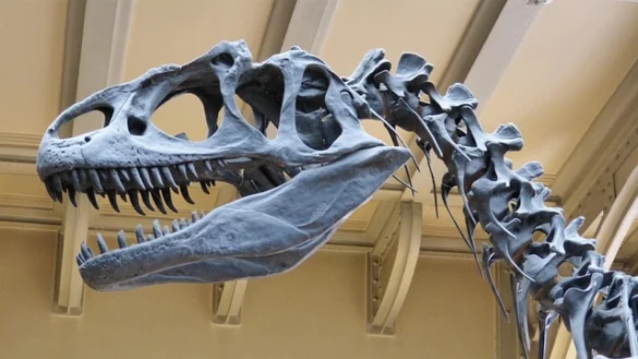 Soñar con dinosaurios