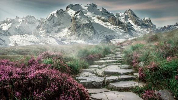 Soñar con Escaleras. ¿Qué significa?