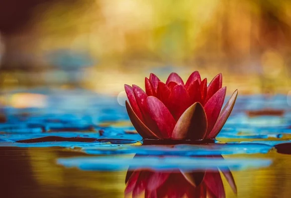 Soñar con flotar Soñar con flotar