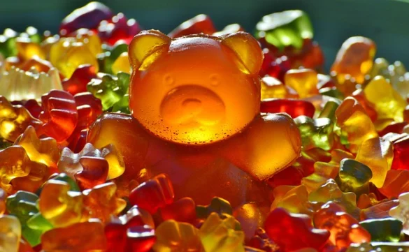 Soñar con osos Soñar con osos