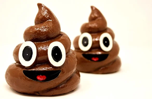 Soñar con popo y excrementos