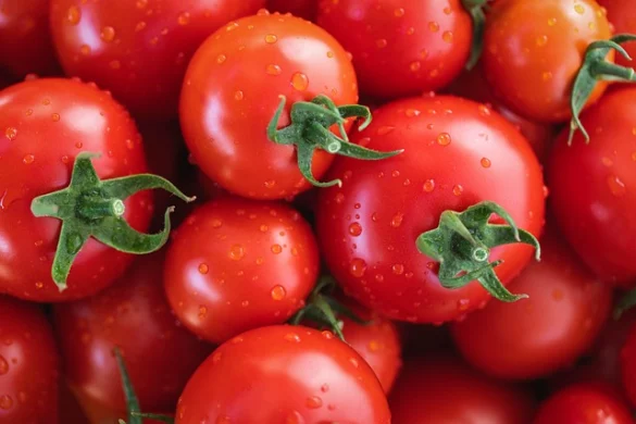 Soñar con Tomates Soñar con Tomates