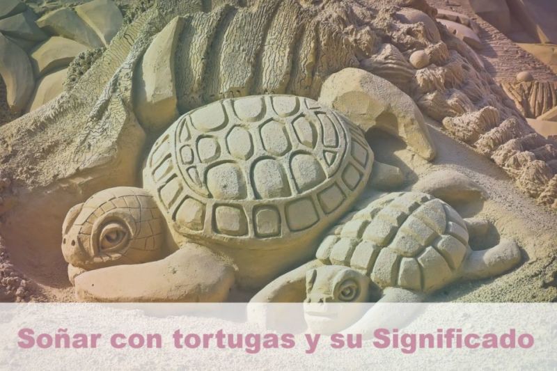 Soñar con tortugas y su Significado