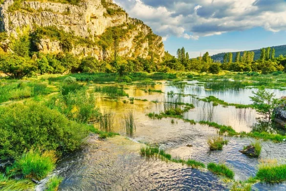 Soñar con un Río Soñar con un Río