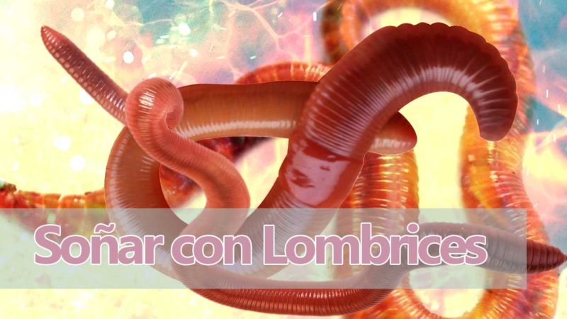 Qué significa soñar con lombrices Soñar con lombrices